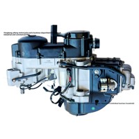 GY6 Jinlang 165QML Ausgleichswellen-Kettenantrieb Eingebautes Rückwärtsganggetriebe Luft- und Ölkühlung 230ccm Motor mit Vibrationsdämpfung
