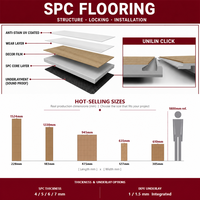 Revêtement de sol intérieur en SPC antibactérien de qualité stable, certifié SGS, avec sous-couche en liège et finition texturée en bois gaufré EIR