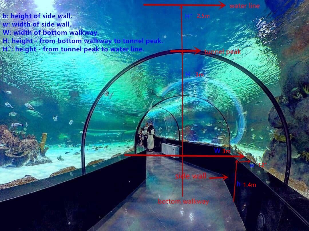 ⭐️ガラスの水族館⭐️箱根ガラス⭐️アクアリウムアート⭐️水泡⭐️ ガラスのアクアリウム | 箱根ガラスの森美術館 ブログ