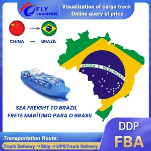 Agente de envío FLY a Brasil Transporte de carga chino Logística Servicios expresos DDP Puerta a puerta China Envío a Brasil