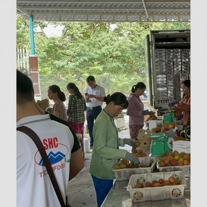Rambután fresco de calidad de exportación de Vietnam embalado en cajas de cartón para envío marítimo y aéreo con larga vida útil - Product Image 1