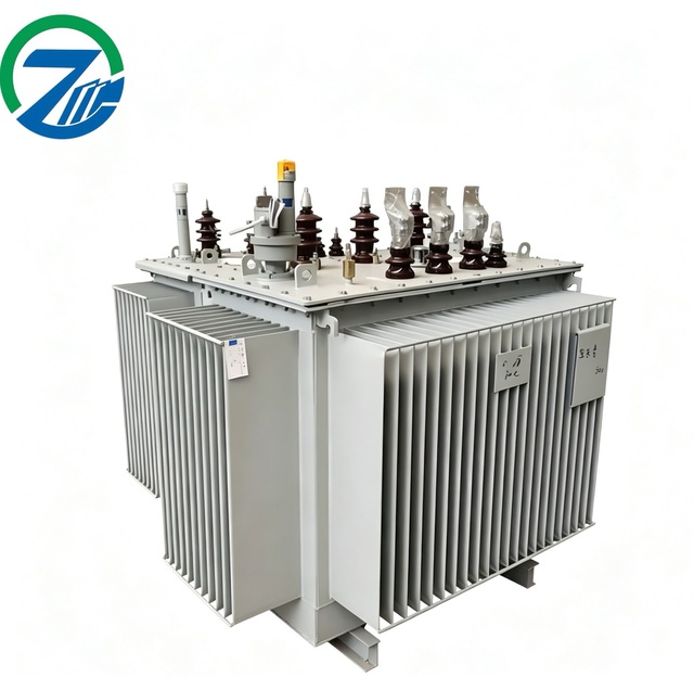 11kV 100-630kVA Oil Immersed Transformer S20-M laminated and Wound Core for Grid Renovation Projects