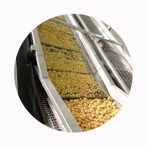 XMSD kastanye beku permintaan tinggi | Kastanye kupas IQF Premium Ideal untuk makanan ringan, memanggang & produksi kalengan - Product Image 6