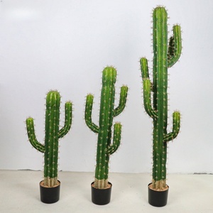 Piante di Cactus Artificiali all'Ingrosso, Grandi Piante Artificiali in Plastica Verde in Vaso, Bonsai per Decorazione d'Interni - Product Image 4