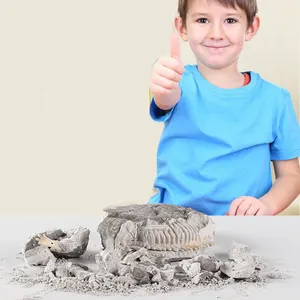 Penggalian Arkeologi Kit Alat Tulang Menggali Mainan Fosil Dinosaurus Set