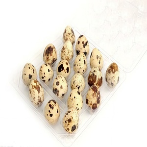 Nhà cung cấp tốt nhất của cao cấp đóng hộp Vải Thiều bảo quản trong nước tốt nhất nếm trứng cút sản phẩm cho thực phẩm sử dụng - Product Image 2