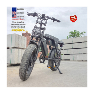 C80 Max dos baterías Ebike Retro E-Bike dos asientos 250W V8 Motor Fatbike Off Road E Bike Fat Tire bicicleta eléctrica - Product Image 6