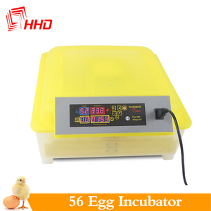 <span class=keywords><strong>Howard</strong></span> manufactory-incubadora de huevos, bandejas de agua, 12v, 220v - Product Image 4