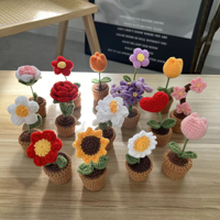 Fleurs en tricot faites main DIY : Tournesol, Tulipe, Rose en pot – Cadeaux originaux pour Noël et la Saint-Valentin