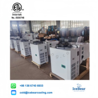 Unit pendingin ETL Amerika, sistem Monoblock otomatis hemat energi untuk penyimpanan dingin digunakan di ruang dingin Monoblock