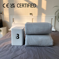 Système de refroidissement de matelas à eau, double zone, intelligent, contrôlé par application, similaire au matelas rafraîchissant silencieux et imperméable Eight 8 Sleep