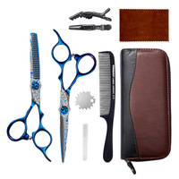 Ensemble de ciseaux de coiffure 6 pouces en acier inoxydable 9CR, ciseaux à effiler à dents plates et à dents en V pour usage en salon
