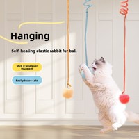 Jouet pour chat en peluche spirale couleur pastel avec grand pompon moelleux détachable et remplaçable pour baguettes de chat