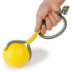 Mainan hewan peliharaan karet EVA, tahan banting, latihan anjing, Mainan Gigit, mainan olahraga interaktif modis - Product Image 1