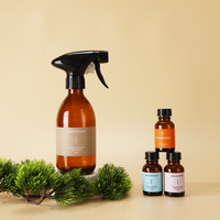 Bouteille pulvérisateur en verre brun de 300 ml, bouteille de nettoyage pour la maison et le jardin, 3 bouteilles de voyage