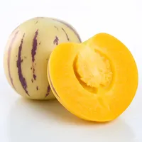 Fabrieksleverancier van voedingsmiddelenkwaliteit wateroplosbaar ginseng fruitpoeder, gesproeid gedroogd ginseng fruit sap poeder