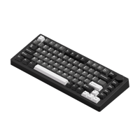 Teclado Mecánico Ergonómico para Juegos M1 V5 - Negro y Plateado, Nuevo OEM, 75% RGB, USB-C, Aluminio, Magnético, Intercambiable en Caliente, Montaje Rápido