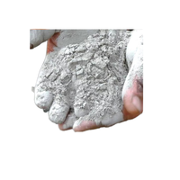 Ciment Portland Blanc CEM II 52.5N de Haute Qualité à Prise Rapide, Réfractaire, Expansif et Décoratif en Promotion !