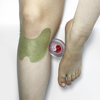 Patch Corporel Anti-Douleur à Base de Plantes, Plâtre Herbal pour Douleur au Genou, Patch Transdermique pour le Genou contre la Douleur