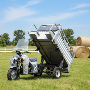 Performance Cheap Gasoline Open <b>Body</b> Trike/Tricycle Customizable Optional Accessories Dumper/Loader/Transport - Product Image 1