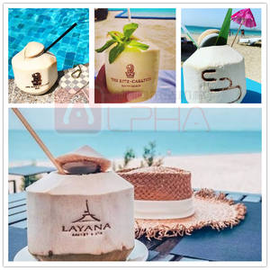 Imprimante à moteur ALPHA à motif de noix de <span class=keywords><strong>coco</strong></span> tendre avec compatibilité 220V/110V, <span class=keywords><strong>puissance</strong></span> 500W, garantie 1 an, taille de chauffage 10x13cm - Product Image 4