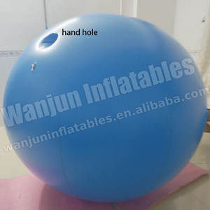 2025 vendita calda gonfiabile mirtillo palla Set per la vendita - Product Image 6