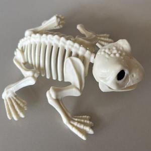 Accesorios de Broma para Halloween - <span class=keywords><strong>Esqueleto</strong></span> de Rana 3D de Plástico Impermeable Accesorios para Exteriores - <span class=keywords><strong>Esqueleto</strong></span> de Animal para Bromas y Diversión - Product Image 4