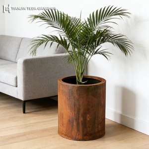 Fioriera in Acciaio Corten e Bordo per Fioriera in Acciaio Corten Personalizzato Tagliato al Laser ASTM A606 Acciaio Resistente agli Agenti Atmosferici - Product Image 2