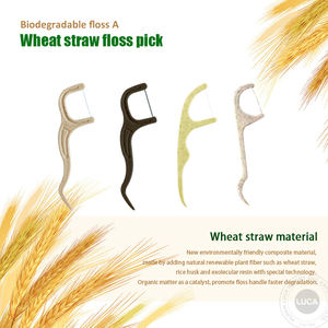 Palillos dentales biodegradables, Logo personalizado, paja de trigo - Product Image 3