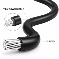 Câble chauffant électrique antidéflagrant en aluminium de haute qualité YJLV pour usage industriel, isolation nue, souterrain, 250V 1*0.5mm