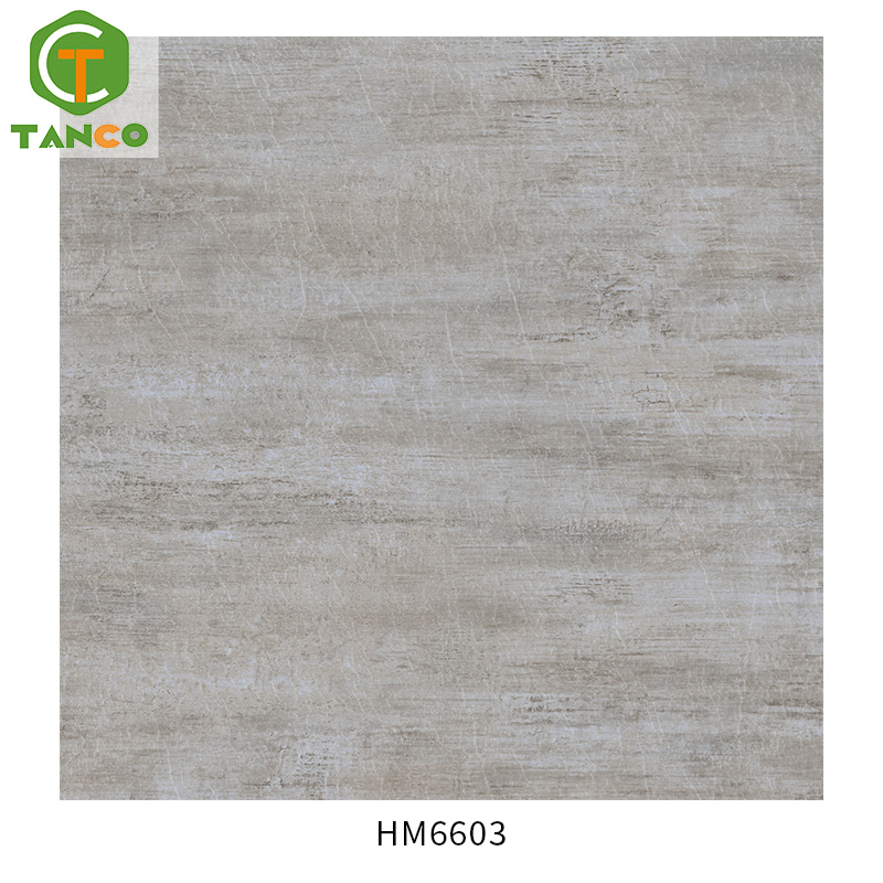HM6603