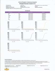 Ветеринарный анализатор ПЦР M4: Система для количественного ПЦР-тестирования в реальном времени, диагностика патогенов у кошек и собак, золотой стандарт - Product Image 6