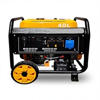 Générateur électrique à démarrage électrique pour usage domestique et industriel 8/10 kW 220 V/380 V monophasé/triphasé Modèle 194F/196F
