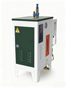 Générateur de circulation naturelle 100W 220V Max. Appareil de stérilisation 0,7 Mpa avec garantie 1 an pour vêtements et aliments - Product Image 3