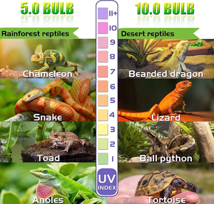 ShengXiang nueva fabricación Led reptil luz al por mayor <span class=keywords><strong>Uva</strong></span> <span class=keywords><strong>Uvb</strong></span> <span class=keywords><strong>E27</strong></span> lámpara de reptil para reptil - Product Image 6