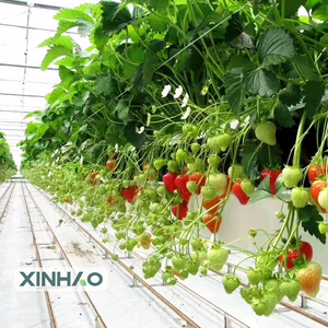 Cỏ Dại phòng chống Mat cho bãi đậu xe nước thấm cỏ dại vải xé kháng vải bán buôn cảnh quan vải - Product Image 4