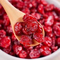Groothandel Gedroogde Cranberries, Gedroogde Bessen Zonder Zwavel, Gedroogde Fruit, Gebakken Yoghurt Schaaltjes, Snacks, Bulk Leverancier