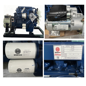 Kaynak fabrika en iyi fiyat Hotsale TF-300DC 300KW süper sessiz konteyner metanol jeneratör bakır malzeme 3 faz 4 tel - Product Image 6