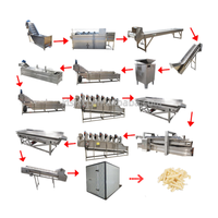 Kls Productieproces Van Elektrische Aardappelchips Met Hoge Capaciteit Gebruikte Bevroren Frietmachines
