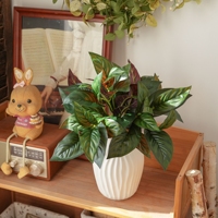 Feuilles de Calathea artificielles en PVC au toucher réaliste, verdure artificielle, feuilles tropicales à veines rouges en soie pour plantes d'intérieur et décoration florale de mariage