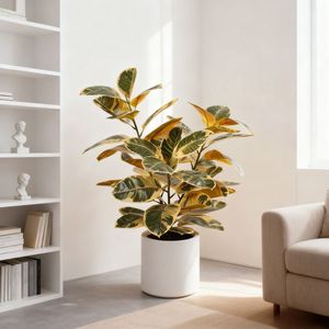 ต้นยางพาราปลอมหลากสีคุณภาพสูงสำหรับตกแต่งภายในบ้าน ขายส่ง - Product Image 2