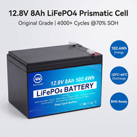 Baterai Deep Cycle Grade A 12v 24v 50ah 100ah 150ah 200ah Solar Lifepo4 Lithium Penyimpanan Energi Portabel