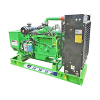 15kW Erdgas-Biomasse-Gasgenerator für Notstromversorgung zu Hause, Dreiphasig 220V 50Hz, Elektrostart, Lange Laufzeit, Geräuscharm