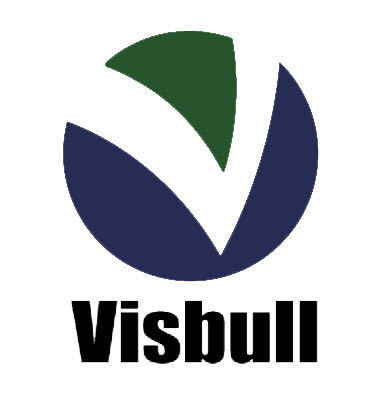 Wuhan Visbull Machinery Co., Ltd. logo
