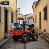 Quad de lutte contre l'incendie à brumisation d'eau à essence pour usine de traitement des déchets, 250cc, refroidissement par eau, monocylindre quatre temps, roues en alliage de 12 pouces