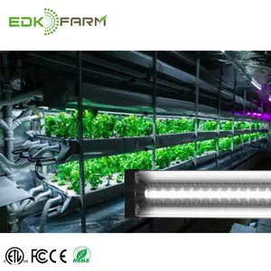 4FT EDK 48W t5定制面板无风扇水培套件室内植物全光谱etl led植物生长灯，用于水培系统