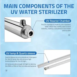 Máquina de filtración de filtro de agua UV de acero inoxidable 304 de 16W para toda la casa para sistema de tratamiento de agua purificador comercial