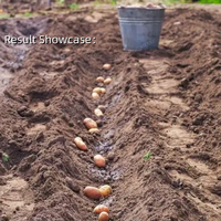 Semoir multifonctionnel pour la plantation de pommes de terre, d'ail et d'oignons, avec fonction de paillage et fertilisation pour petites exploitations agricoles