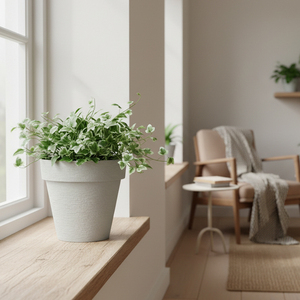 Jardinière Moderne en Plastique PP <span class=keywords><strong>de</strong></span> Haute Qualité, Écologique, pour l'Intérieur et l'Extérieur, pour Plantes et <span class=keywords><strong>Fleurs</strong></span>, Plusieurs Tailles Disponibles - Product Image 2