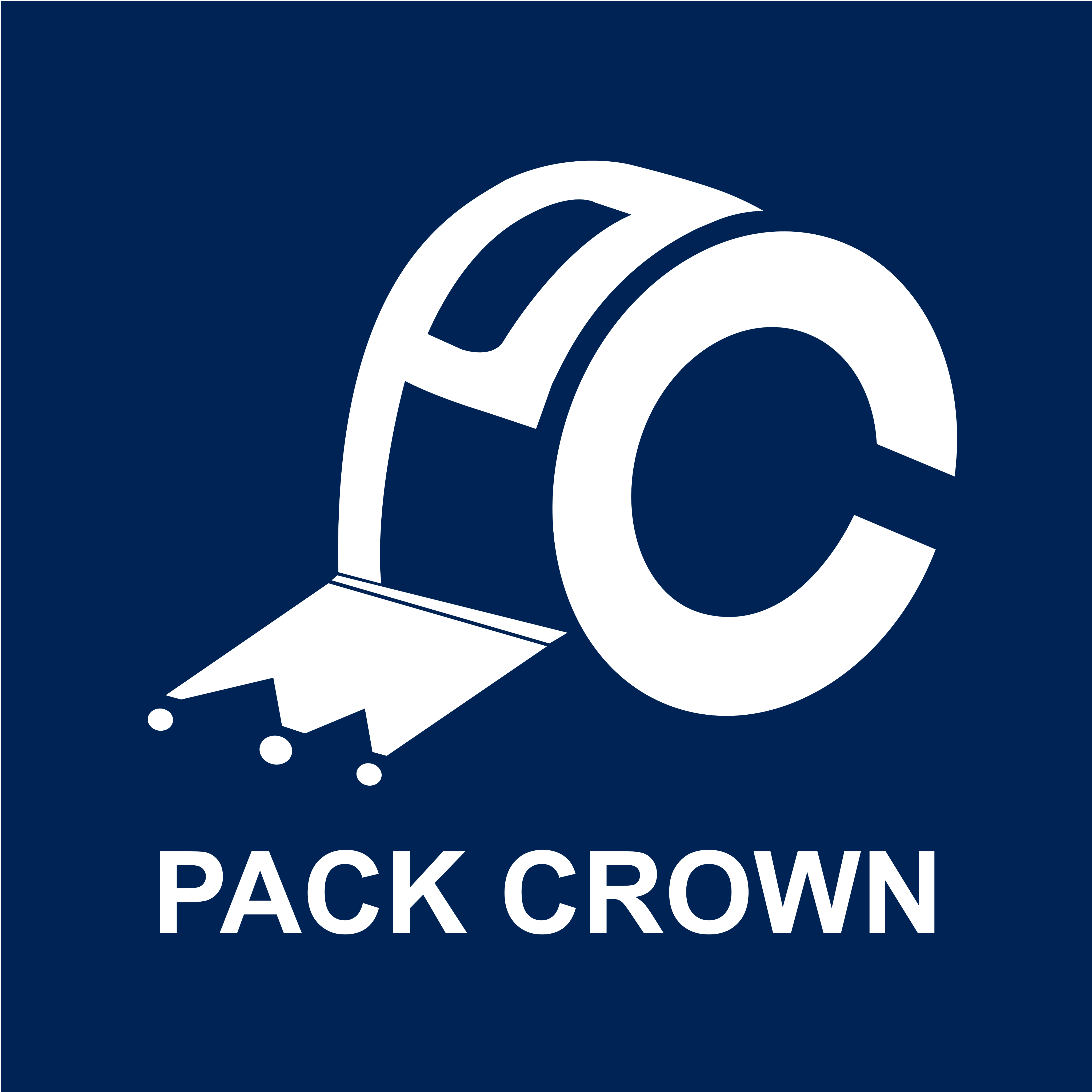 Huizhou Packcrown New Material Co., Ltd. logo
